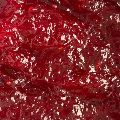 Fruitfil Baker's Rasplum