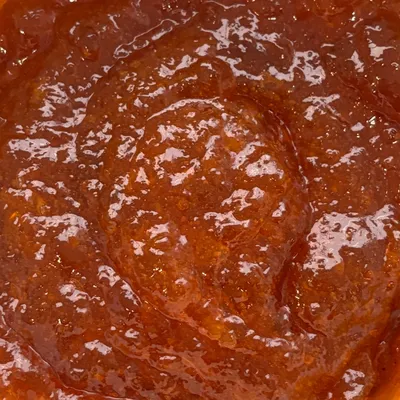 Fruitfil Baker's Apricot