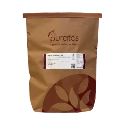 Intens Resilience 2.0