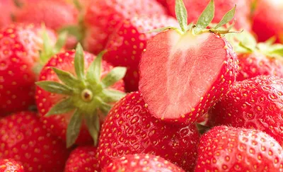 Classic Fraise (Strawberry)