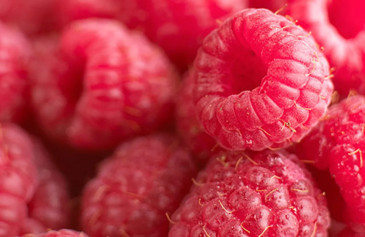 Classic Framboise (Raspberry) - Puratos Australia