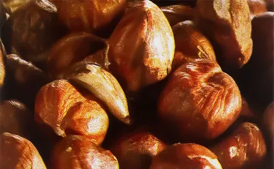 Classic Noisette (Hazelnut)